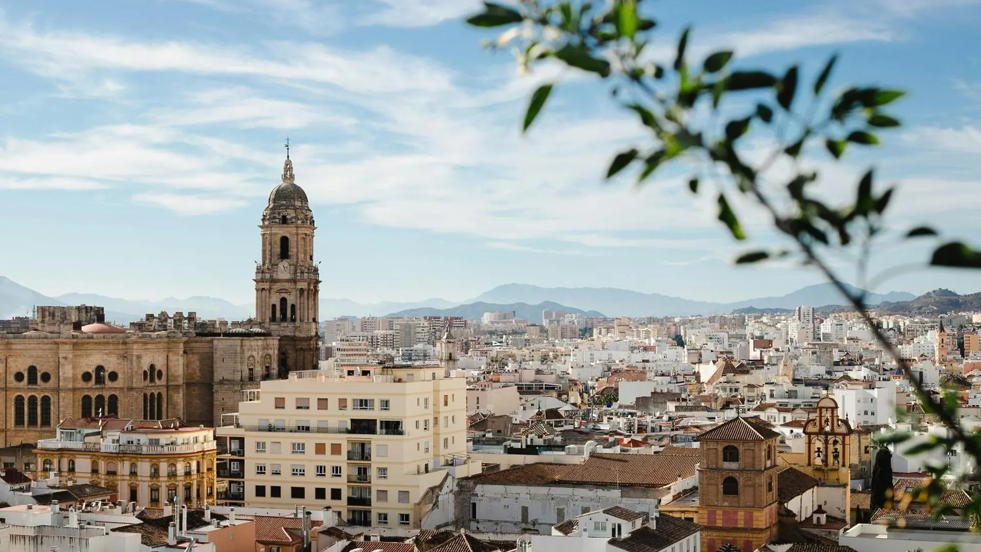Homely Malaga Luxury Atarazanas Spain